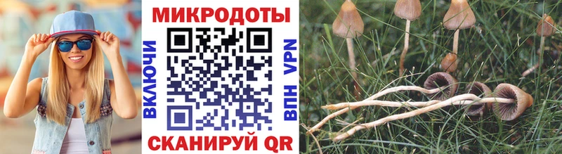 купить цена Минусинск Галлюциногенные грибы мухоморы