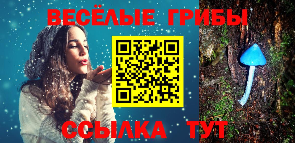 Псилоцибиновые грибы ЛСД  Вход с VPN  Минусинск 
